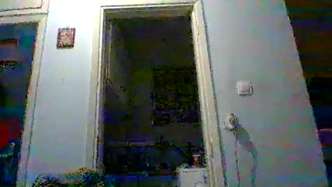 mppempis81 online show from November 22, 4:27 pm