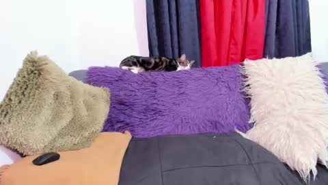 Miss Justine online show from October 31, 1:17 am