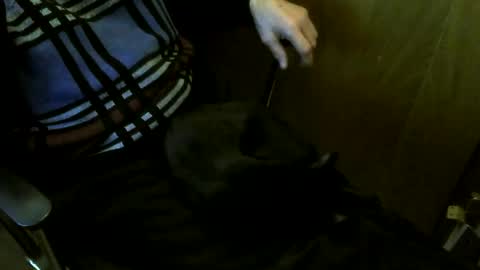 muller520 online show from March 27, 7:37 pm