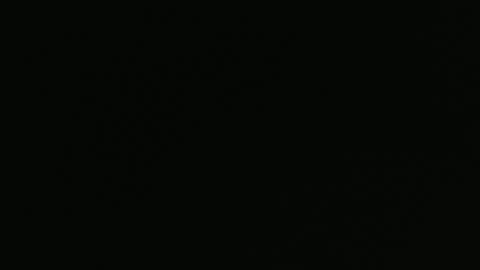 mundo22_ online show from April 13, 11:47 am