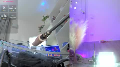 INSTAGRAM     bekkercat  online show from November 25, 11:31 am