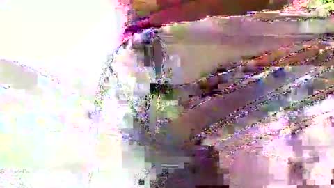 Nane online show from June 6, 8:31 am