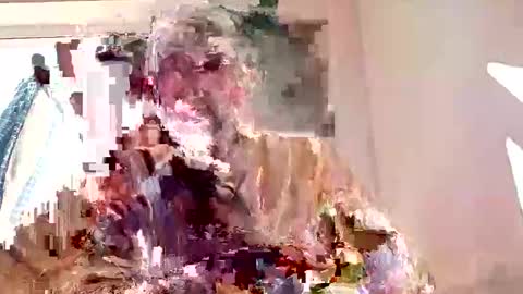 narujoto online show from November 29, 10:56 am