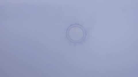 Maira online show from February 3, 6:28 pm