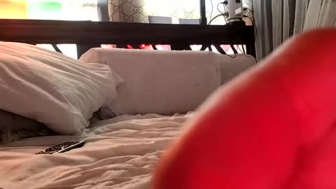 Haven online show from February 3, 5:03 pm