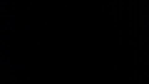      online show from February 11, 5:00 am