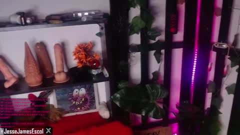   JOIN NOW BEBE online show from December 3, 4:33 pm