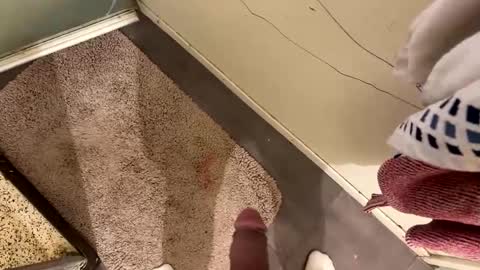 nbarrie98 online show from December 7, 4:20 pm