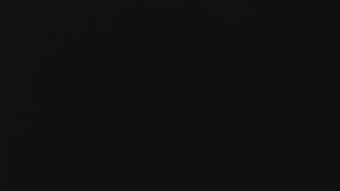 nea--  online show from January 11, 9:15 am