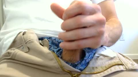 Dingo online show from August 2, 12:23 am