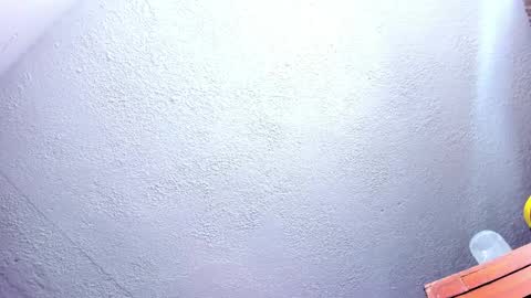 Geek Nicole    im Neeko UwU online show from April 9, 6:19 am