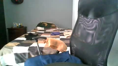 MrBull online show from July 10, 4:34 pm