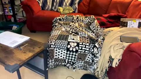 neverwinter44 online show from April 23, 5:59 am