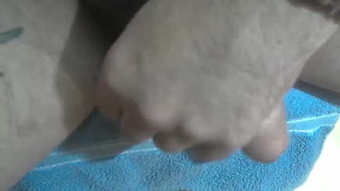 ni983 online show from December 3, 12:06 pm