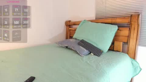 day  online show from November 20, 12:31 am