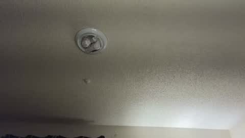 Nikki Mastersgirl1091 online show from September 12, 2:46 am