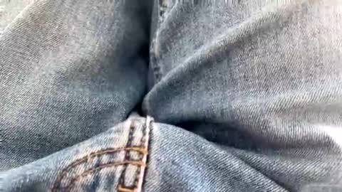 Nikk online show from September 10, 9:43 am