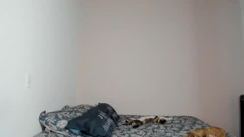  Nina  online show from November 22, 8:40 pm