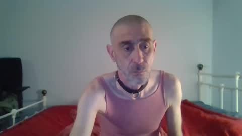 nirevess online show from January 1, 2:52 pm