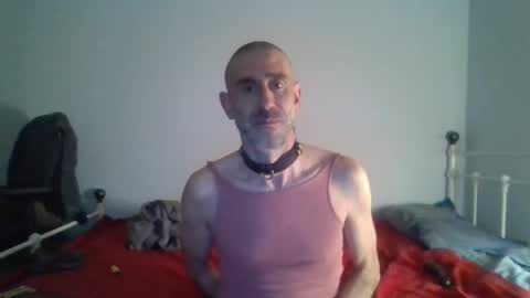 nirevess online show from December 9, 8:23 pm