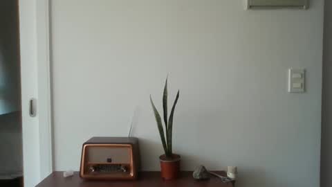 nizer2872870 online show from January 14, 5:10 pm