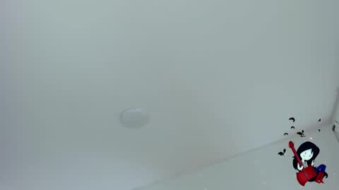 Noah  online show from October 29, 6:48 am