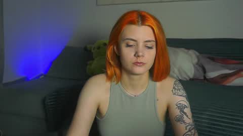 Nova online show from September 24, 7:09 pm