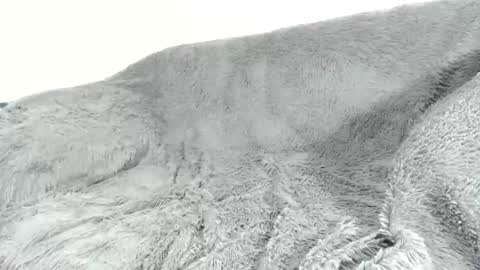 nreus online show from March 11, 3:36 am