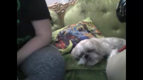 Snapshot of nticho chatting on December 29, 12:52 am Nate online show from December 29, 12:52 am