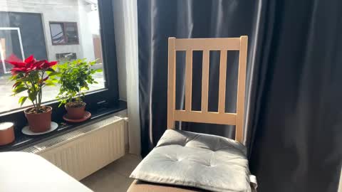 Nicol online show from February 25, 9:53 am