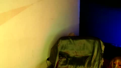 oliver_laid_2023 online show from January 18, 5:48 pm