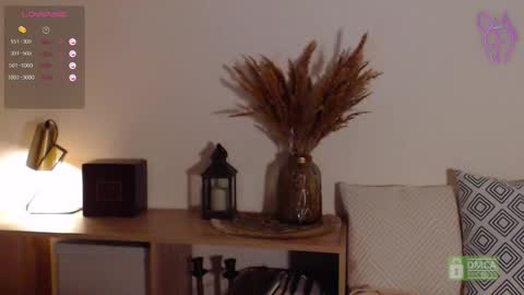  ONLINE   online show from March 11, 2:42 am