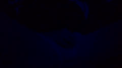 orgazim online show from October 29, 10:06 am