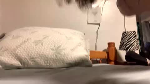 ozzy727 online show from February 23, 2:58 am