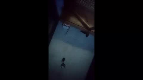 pablo6234516161 online show from July 25, 6:02 pm