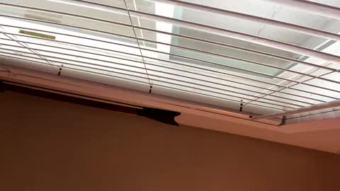 packinnstackin1996 online show from January 6, 5:06 pm