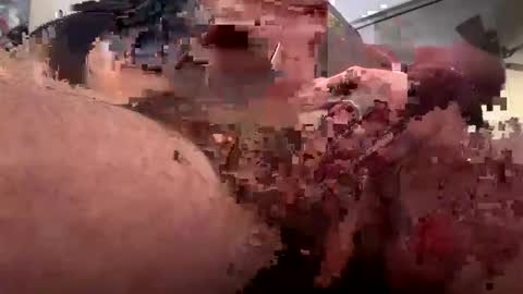 Snapshot of painter1142 chatting on February 10, 1:33 pm Rothkohammer online show from February 10, 1:33 pm