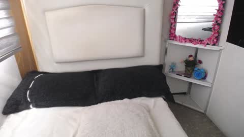 Palmer online show from January 7, 7:49 pm