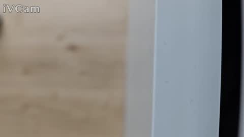 pantyhose_ggggg online show from October 11, 2:43 pm