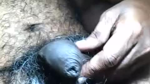 pappi_rambo online show from July 19, 5:15 pm