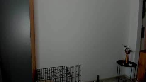 patricia_bloom online show from February 27, 5:00 am