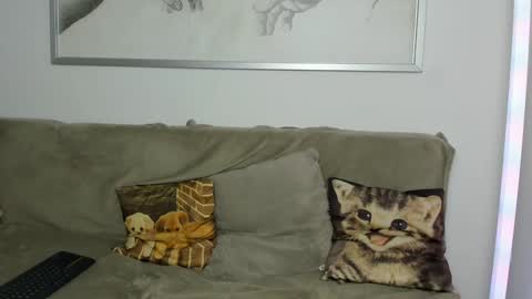 paulblack021 online show from December 14, 12:55 am