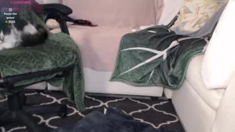 Snapshot of peekclimaxxx chatting on March 6, 2:19 am NEXT CHILL SESH  1130 930pm -ish PEEK online show from March 6, 2:19 am