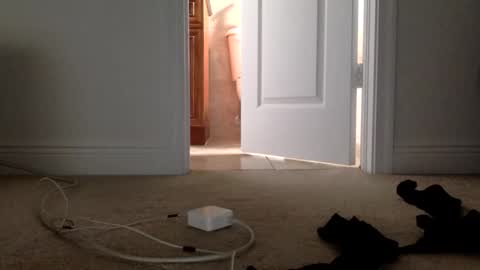 Its always better when its forbidden online show from April 1, 4:48 pm