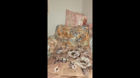 philos1979 online show from February 6, 6:54 pm