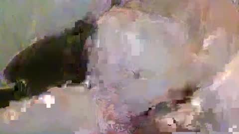 Pickup844 online show from January 4, 8:39 am