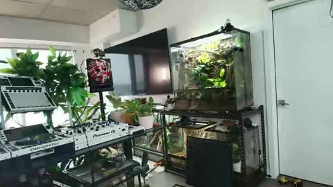 Pierre Fitch online show from January 9, 5:40 pm