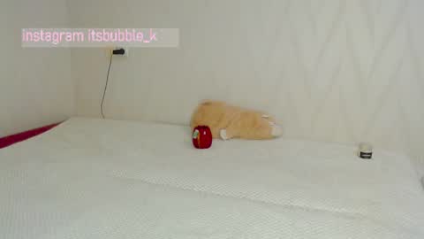 Pikachu pika online show from March 4, 11:00 pm