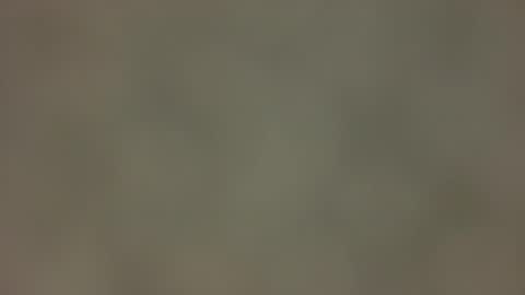 kris online show from January 15, 10:17 am