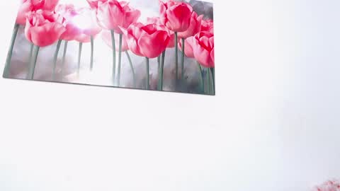 pinky_f00x online show from April 11, 8:02 pm